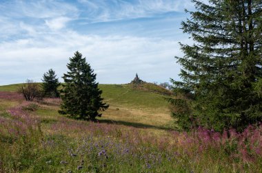 Wasserkuppe 'deki Epilobium angustifolium (Epilobium angustifolium) arka planda havacının anma töreni olan Hesse, Rhoen, Almanya