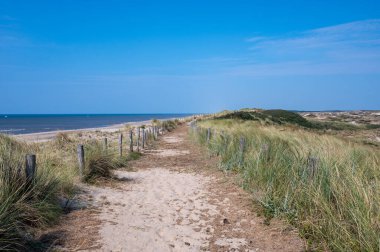 Hollanda 'daki Kuzey Denizi kıyısında çitleri ve plaj çimleriyle kaplı kumlu bir arazide bir patika.