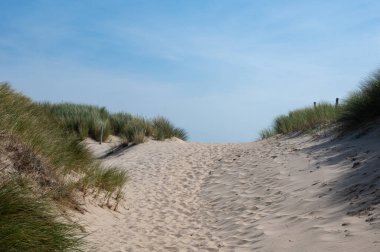 Hollanda 'nın Kuzey Denizi kıyısındaki kumlu bir arazide bir patika.