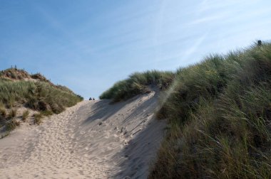 Hollanda 'nın Kuzey Denizi kıyısındaki kumlu bir arazide bir patika.