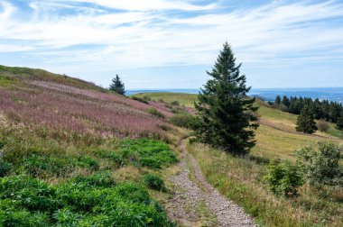 Almanya 'nın yüksek Rhoen kentindeki vadiye bakan bir dağdan manzara.