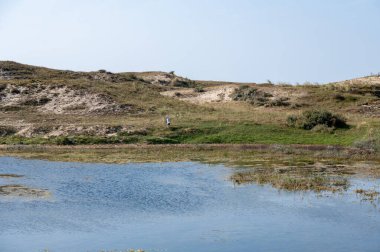 Hollanda, Avrupa 'da Egmond aan Zee yakınlarında küçük bir göl, balıkçıllı.