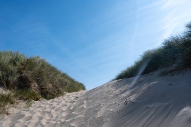 Hollanda 'nın Kuzey Denizi kıyısındaki kumlu bir arazide bir patika.
