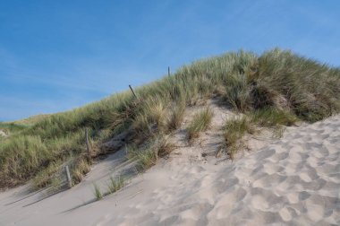 Hollanda 'nın Kuzey Denizi kıyısında kumsal çimleri ve dikenli tel çitlerle kaplı kum manzarası