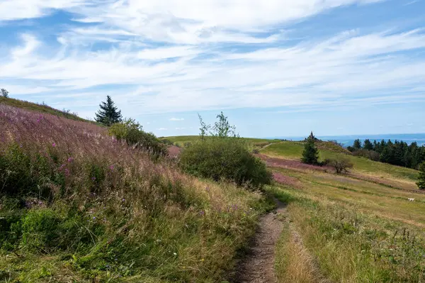 Rhoen 'in yüksek kesimlerindeki çayırları ve çiçekleri olan manzara Wasserkuppe, Hesse, Almanya' dan görülüyor. Arka planda havacının anma töreni var.