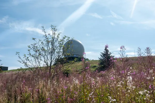 Radar kubbesi Almanya 'nın yüksek Rhoen bölgesinde Wasserkuppe' nin zirvesinde, önplanda pembe bir Willonerb, mavi gökyüzü ile güzel bir yaz günü