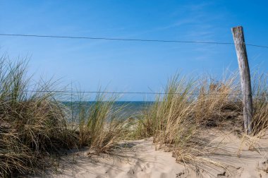 Hollanda 'nın Kuzey Denizi kıyısında kumsal çimleri, deniz ve dikenli tel çitlerle kaplı kum manzarası