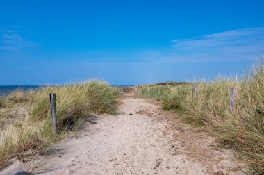 Hollanda 'daki Kuzey Denizi kıyısında çitleri ve plaj çimleriyle kaplı kumlu bir arazide bir patika.