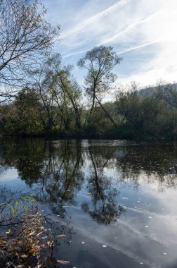 Almanya, Eder nehrinin kıyısındaki ağaçlar, sudaki yansımalarla
