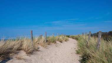Hollanda 'daki Kuzey Denizi kıyısında çitleri ve plaj çimleriyle kaplı kumlu bir arazide bir patika.