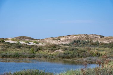 Hollanda, Avrupa 'da Egmond aan Zee yakınlarındaki kumul doğa rezervinde küçük bir göl. Mavi gökyüzü