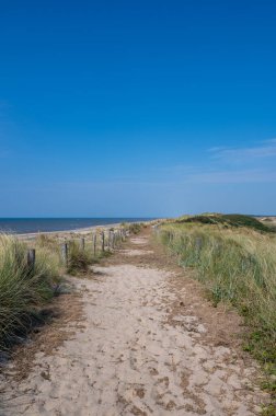 Hollanda 'daki Kuzey Denizi kıyısında çitleri ve plaj çimleriyle kaplı kumlu bir arazide bir patika.
