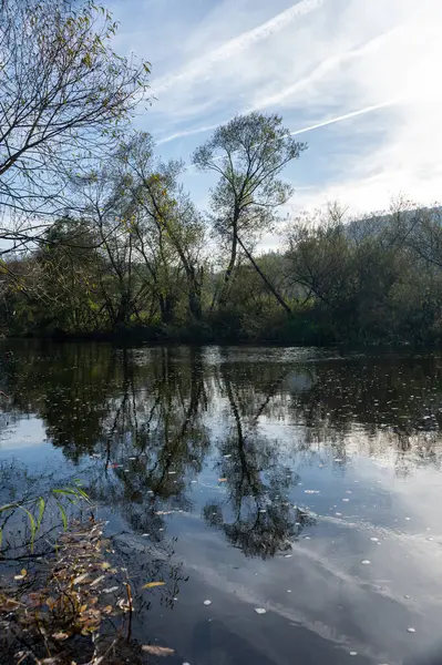 Almanya, Eder nehrinin kıyısındaki ağaçlar, sudaki yansımalarla