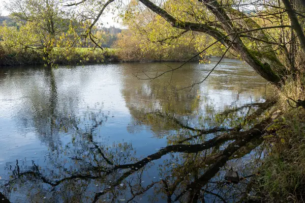 Nehrin kıyısında bir ağaç duruyor ve Almanya, Eder 'in suyuna yansıyor.
