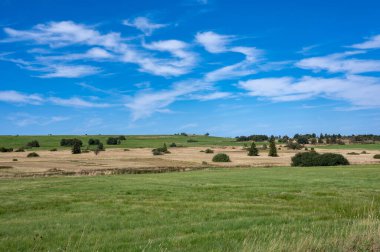 Yeşil çayır manzarası ve yüksek Rhoen, Almanya 'da bazı ağaçlar
