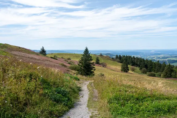 Rhoen 'in yüksek kesimlerindeki çayırları ve çiçekleri olan manzara Wasserkuppe, Hesse, Almanya' dan görülüyor. Arka planda havacının anma töreni var.