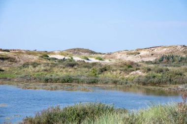 Hollanda, Avrupa 'da Egmond aan Zee yakınlarındaki kumul doğa rezervinde küçük bir göl