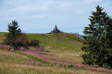 Wasserkuppe 'deki Epilobium angustifolium (Epilobium angustifolium) arka planda havacının anma töreni olan Hesse, Rhoen, Almanya