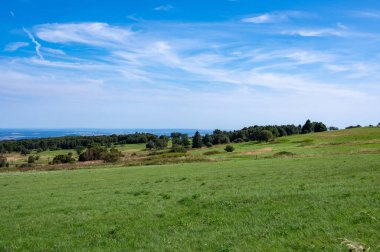 Yeşil çayır manzarası ve yüksek Rhoen, Almanya 'da bazı ağaçlar
