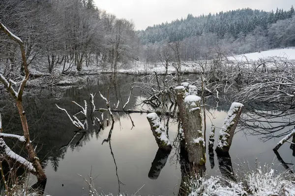 Küçük bir gölün sularında karla kaplı dallar.