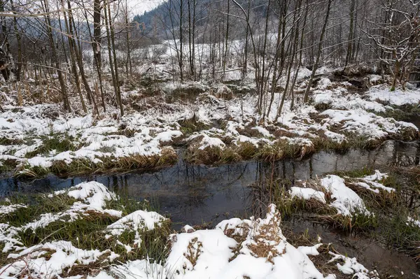 Karlı küçük bir nehirde kış manzarası