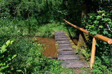 Doğada küçük bir derenin üzerindeki tahta köprü.