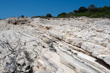 Yeşil ağaç ve mavi + s + ky ile Doğadaki Kaya Katmanları+