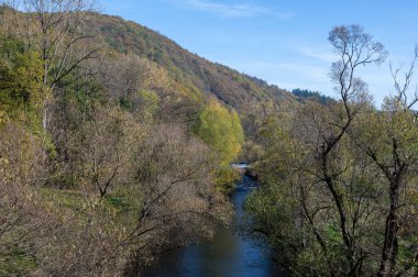 Almanya 'da Eder Nehri' nin kıyısında bir sürü ağaç var.