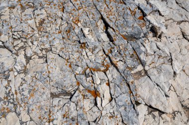 Turuncu zambaklı kaya dokusu, doğal bir arka plan.