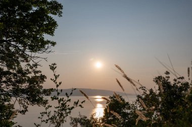 Hırvatistan, Avrupa 'da denizde gün batımı, arka planda Krk adası, önde bitki ve ağaçlar