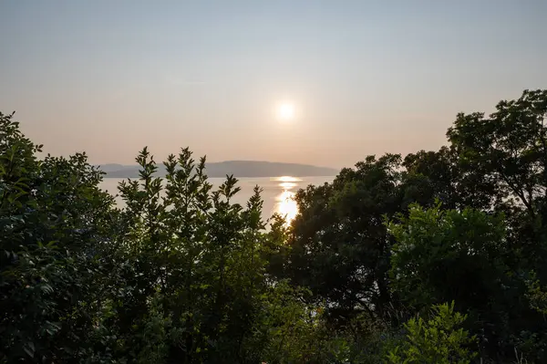 Hırvatistan, Avrupa 'da denizde gün batımı, arka planda Krk adası ve önde ağaçlar