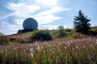 Radar kubbesi, Almanya 'nın yüksek Rhoen bölgesindeki Wasserkuppe zirvesinde, yeşil bir çayır ve pembe bir Willonerb ile, mavi gökyüzü ile güzel bir yaz günü