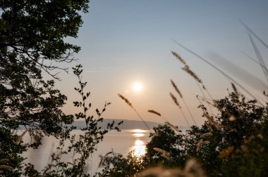 Hırvatistan, Avrupa 'da denizde gün batımı, arka planda Krk adası, önde bitki ve ağaçlar