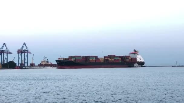 Nave Con Contenedores Puerto Marítimo Descargar Barco Con Contenedores Buque — Vídeo de stock