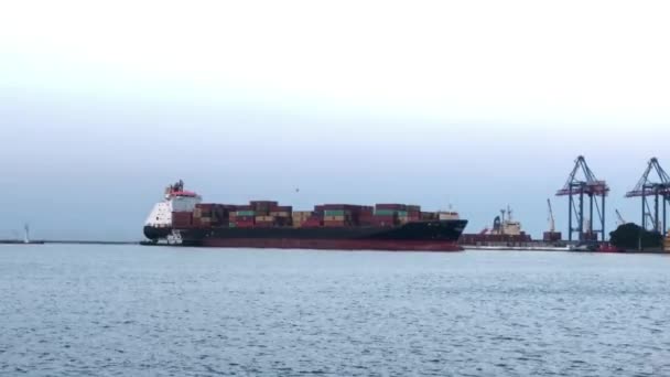 海港のコンテナで船 コンテナで船を降ろせ 港内のコンテナ船 — ストック動画