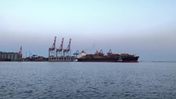 在海港装集装箱的船 卸下装有集装箱的船舶 港口的集装箱船 — 图库视频影像