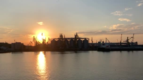 오데사의 항구에 우크라이나 오데사 우크라이나 항구의 — 비디오