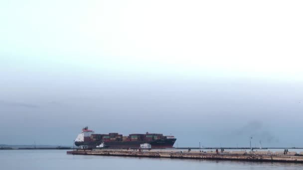 海港のコンテナで船 コンテナで船を降ろせ 港内のコンテナ船 — ストック動画