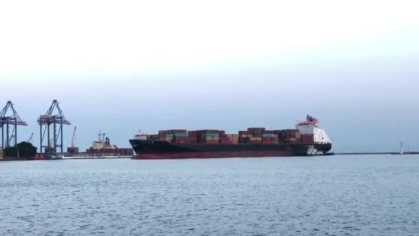 在海港装集装箱的船 卸下装有集装箱的船舶 港口的集装箱船 — 图库视频影像