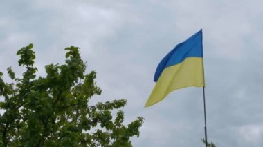Ukrayna vatandaşı rüzgârda gelişiyor. Ulusal Ukrayna Bayrağı.