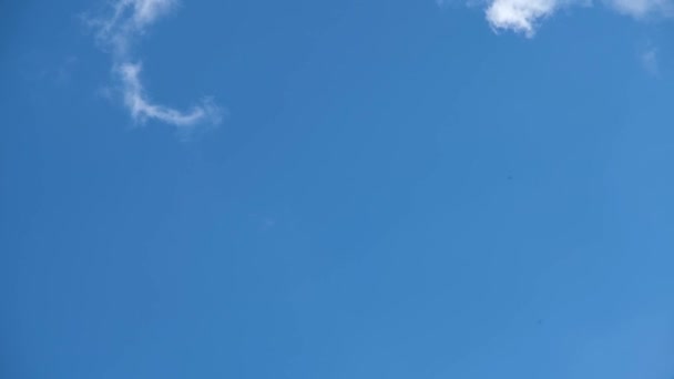 Wolken Himmel Leichte Wolken Blauen Himmel Weiße Wolken Himmel Zeitraffer — Stockvideo