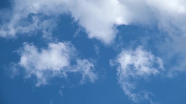 하늘의 구름들 하늘을 배경으로 하늘에 구름이 구름을 방출하는 — 비디오