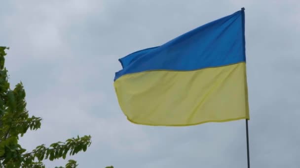 Ukrán Nemzeti Sólyom Szélben Fejlődik Ukrán Nemzeti Zászló — Stock videók