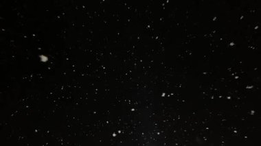 Gerçek kar kameraya düşer. Kar yağıyor. Yoğun kar yağışı videosu. Kış masalı atmosferi.