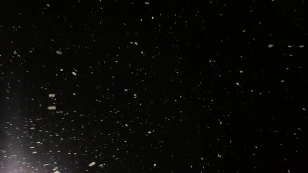 Skutečný Sníh Padá Kameru Padající Sníh Silné Sněžení Zimní Pohádková — Stock video