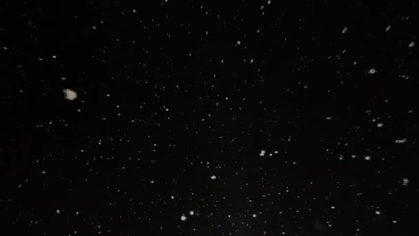 Echter Schnee Fällt Vor Laufender Kamera Schneefall Starker Schneefall Wintermärchen — Stockvideo
