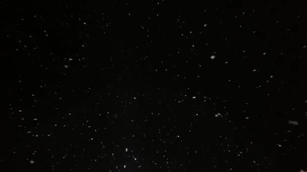 Echter Schnee Fällt Vor Laufender Kamera Schneefall Starker Schneefall Wintermärchen — Stockvideo