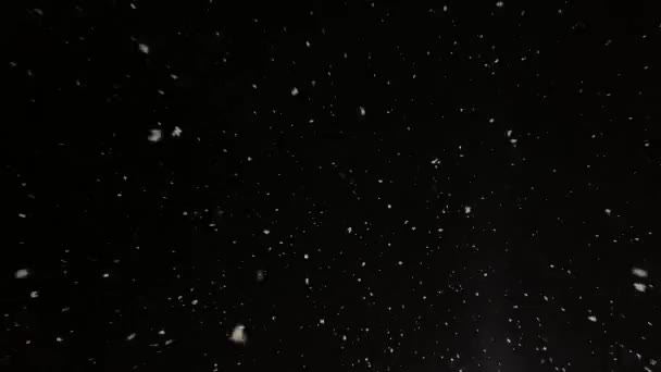 本物の雪がカメラに落ちる 雪が降ってる 豪雪映像だ 冬のおとぎ話の雰囲気 — ストック動画