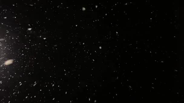真正的雪在相机上飘扬 落雪了大雪视频 冬季童话气氛 — 图库视频影像
