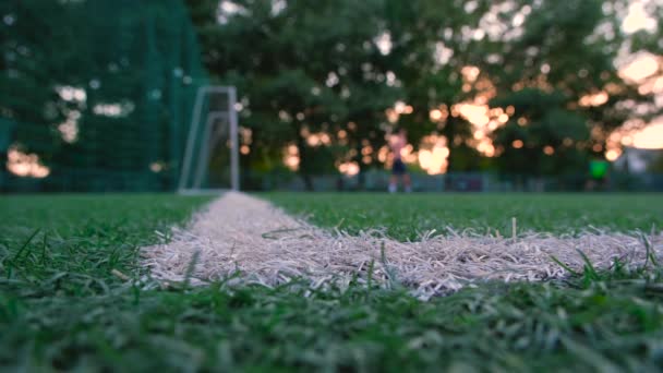 Προπόνηση Ποδοσφαίρου Ποδόσφαιρο Ηλιοβασίλεμα Παίζοντας Ποδόσφαιρο Ένα Σύγχρονο Τομέα Κατάρτισης — Αρχείο Βίντεο